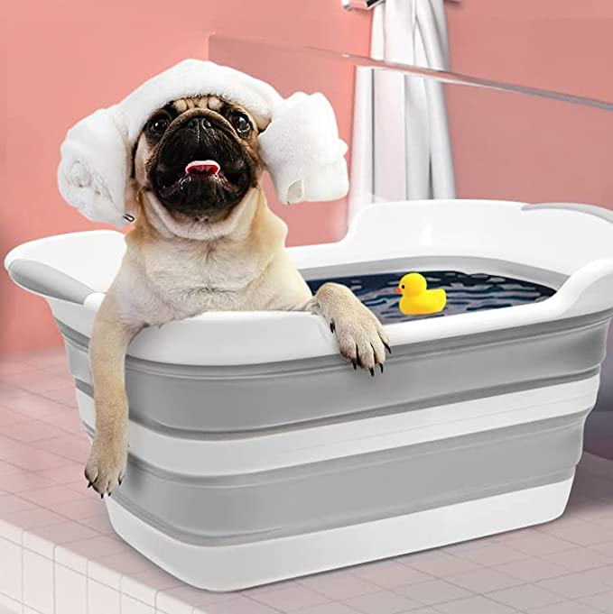 natalfart's tweet photo. How do all of the Amazon listings get these pics https://t.co/ee1fQCRBHx
