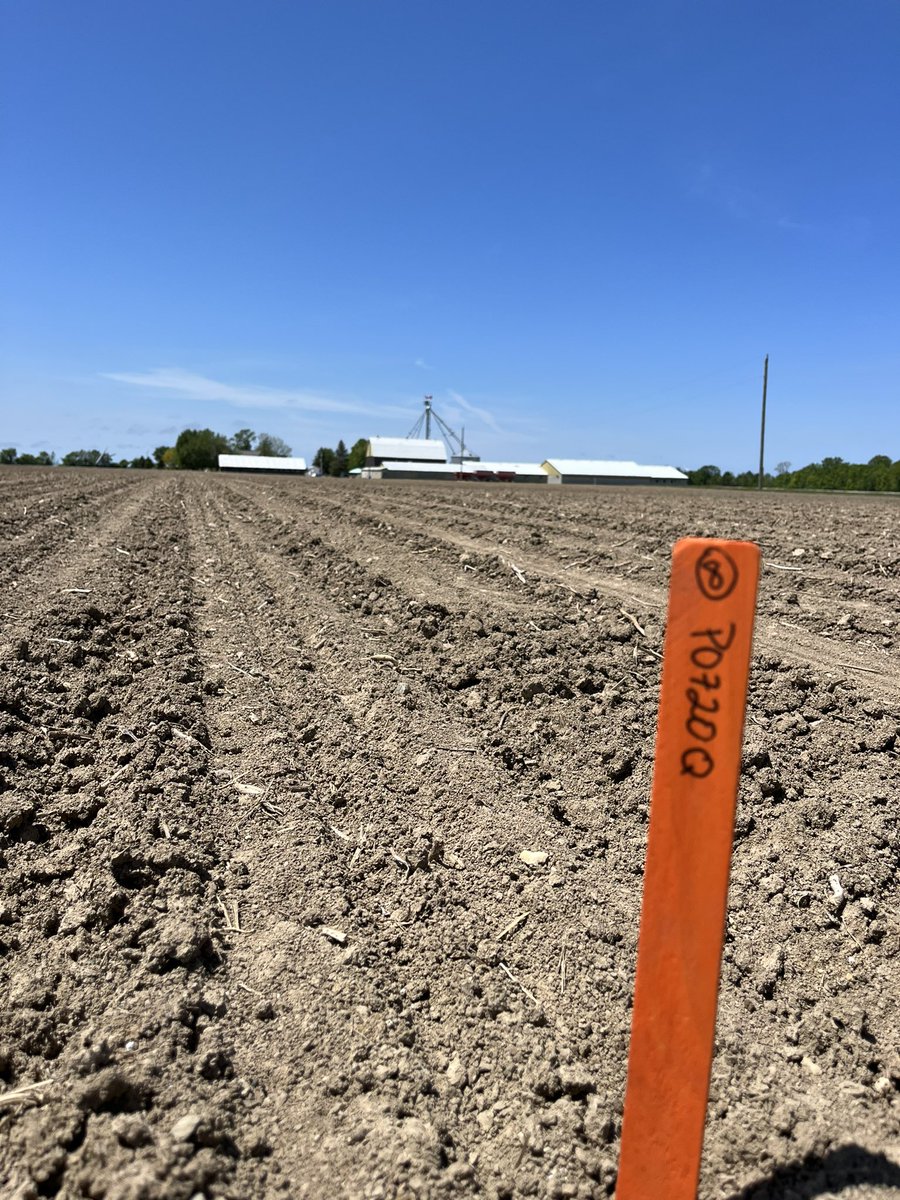 Spent the morning yesterday at my favourite craft brewery #stonpickers. Time was well spent getting both a corn and E3 soybean test plot in the ground. Looking forward to doing some plot walks/customer events this summer. Big thank you goes out to Joe and Mary Donkers.
