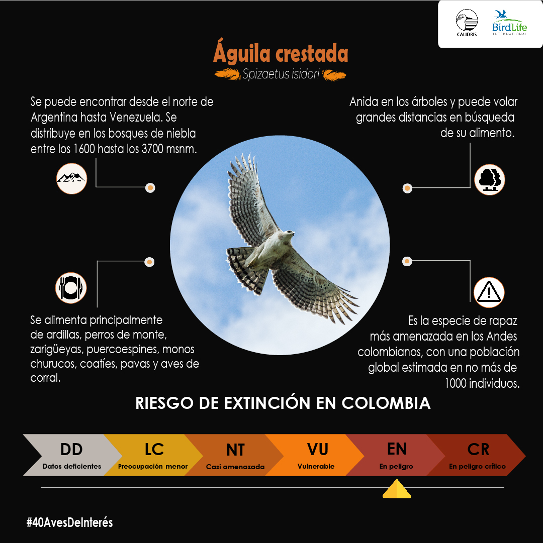 Asociación Calidris tweet media