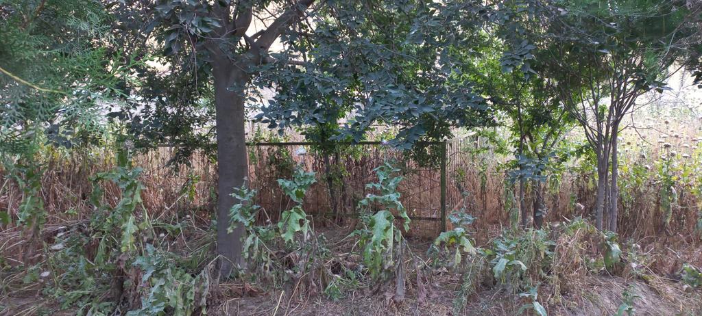 This place is called "Khami shahid" in Temurmalik district of Khatlon province. It is believed that the priests were first shot and then buried. Whatever happened or not, people keep this place clean