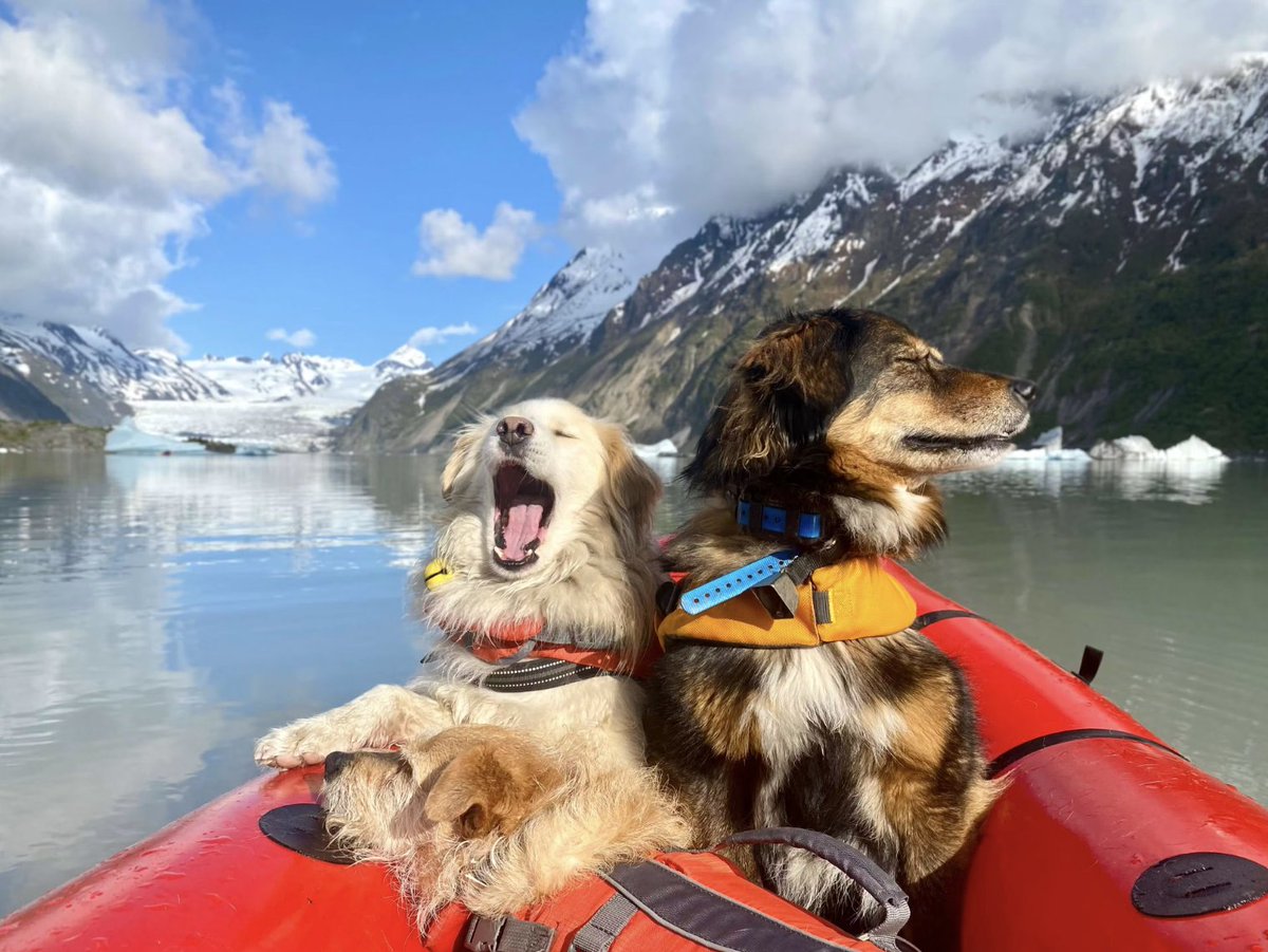 Alpacka Raft tweet media