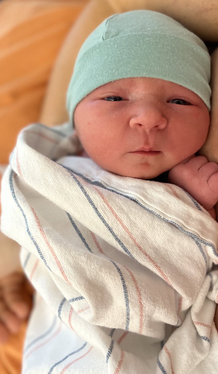 Chuck McMahon tweet media