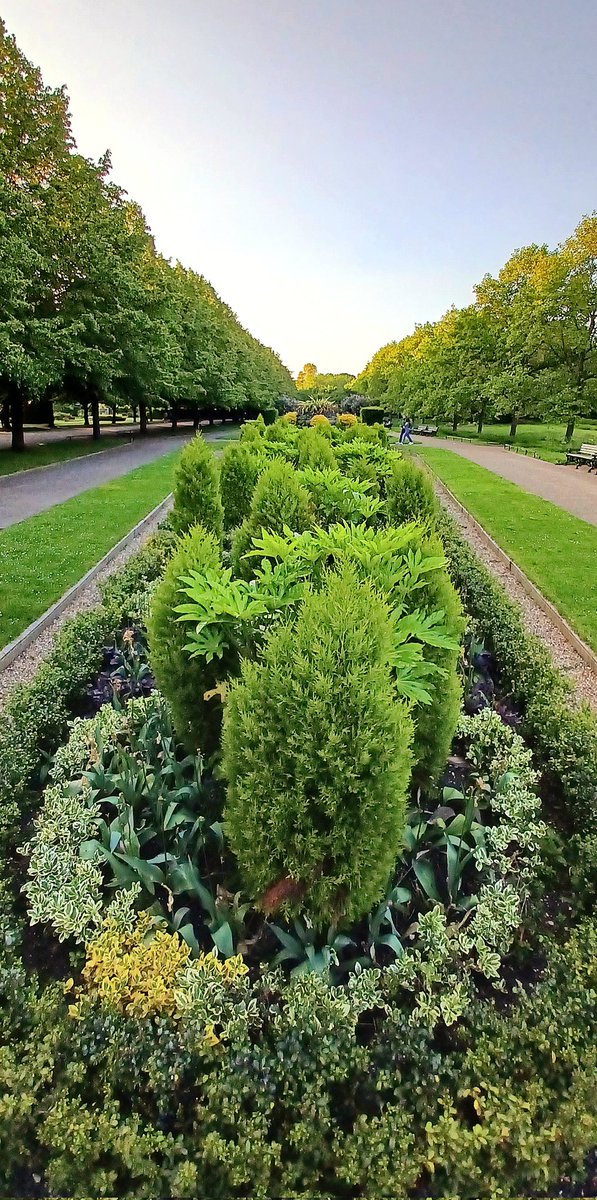 Perfect spring evening 
#theroyalparks #springtime #nature #Londoninspring #horticulture #gardens #NaturePhotography #NatureBeauty #Spring #Londonparks