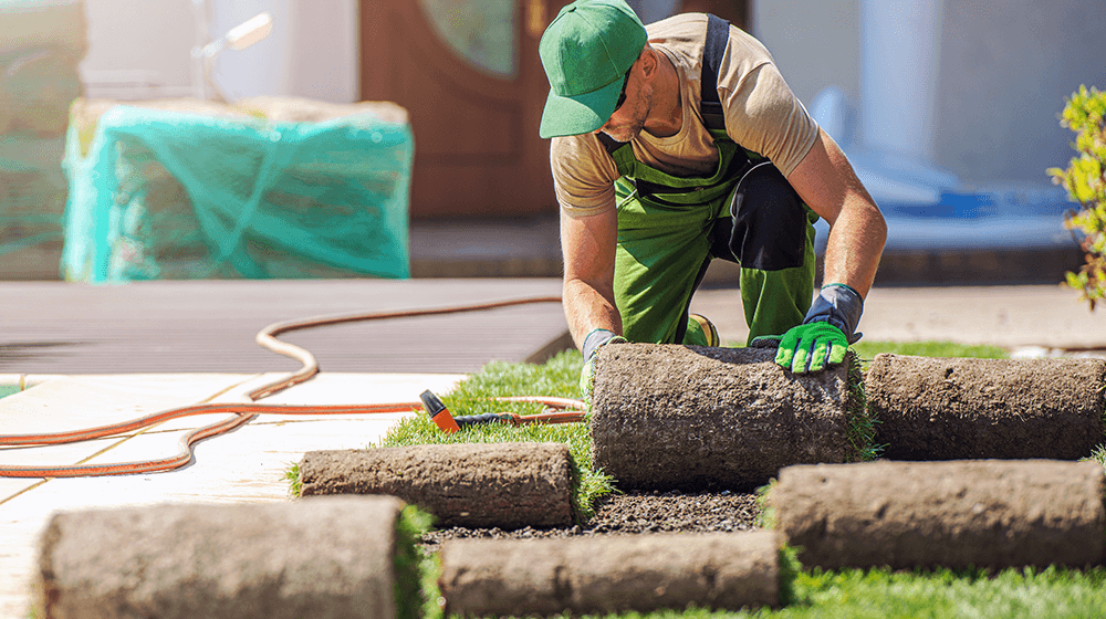 The Art of Naming Your Landscaping Business: Unlocking Creativity dlvr.it/Spd9NV