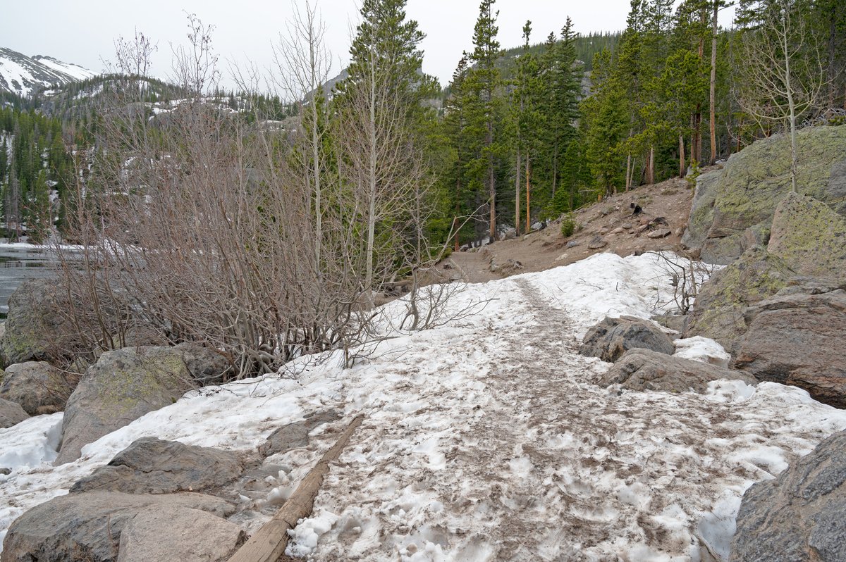 RockyNPS tweet media