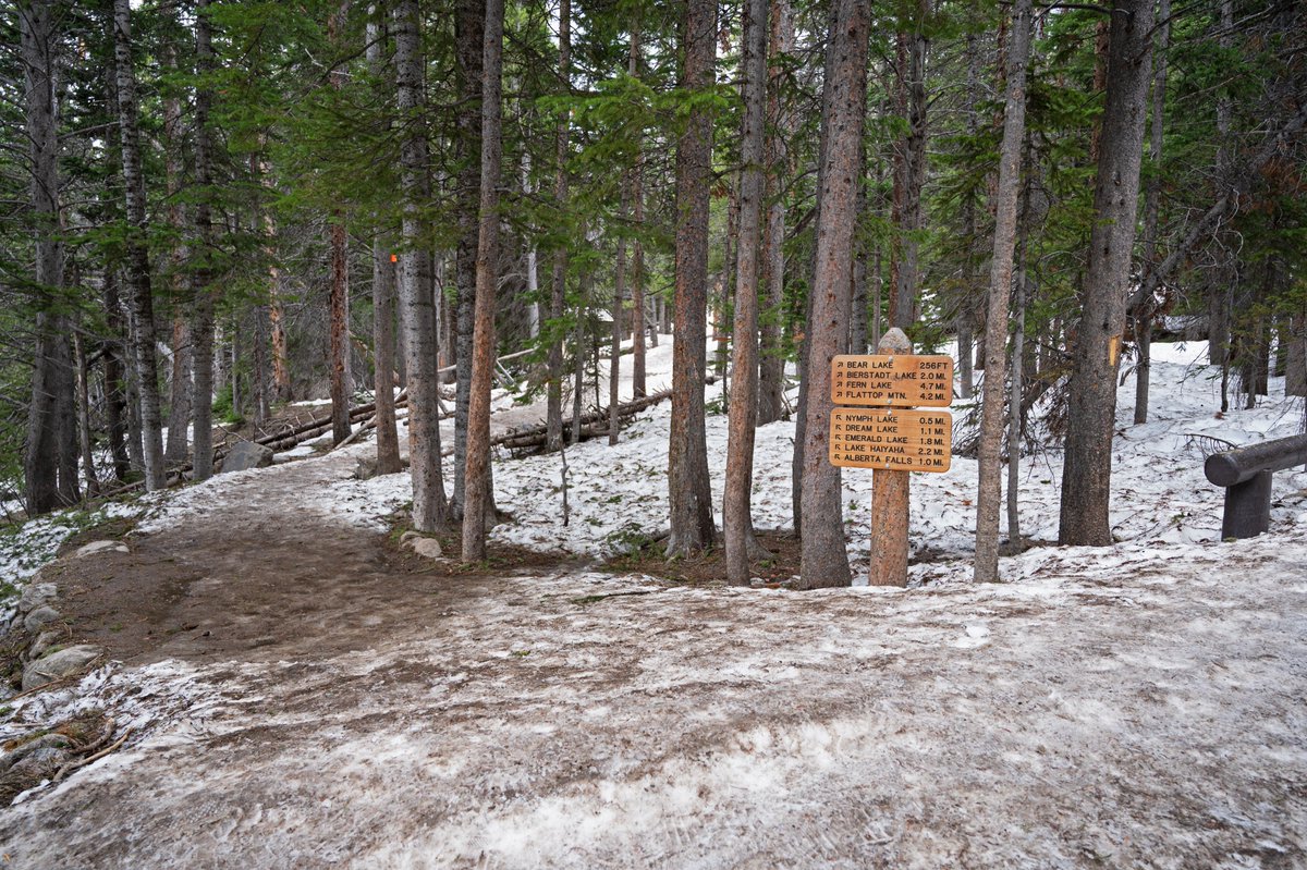 A picture's worth a million words. It's still VERY SNOWY on #RMNP trails above ~9000 ft east &amp; west sides. These are NPS photos from yesterday at Bear Lake.
Current Trail Conditions: nps.gov/romo/planyourv…
Longs Peak Conditions: nps.gov/romo/planyourv…
BE AWARE + PREPARED!
