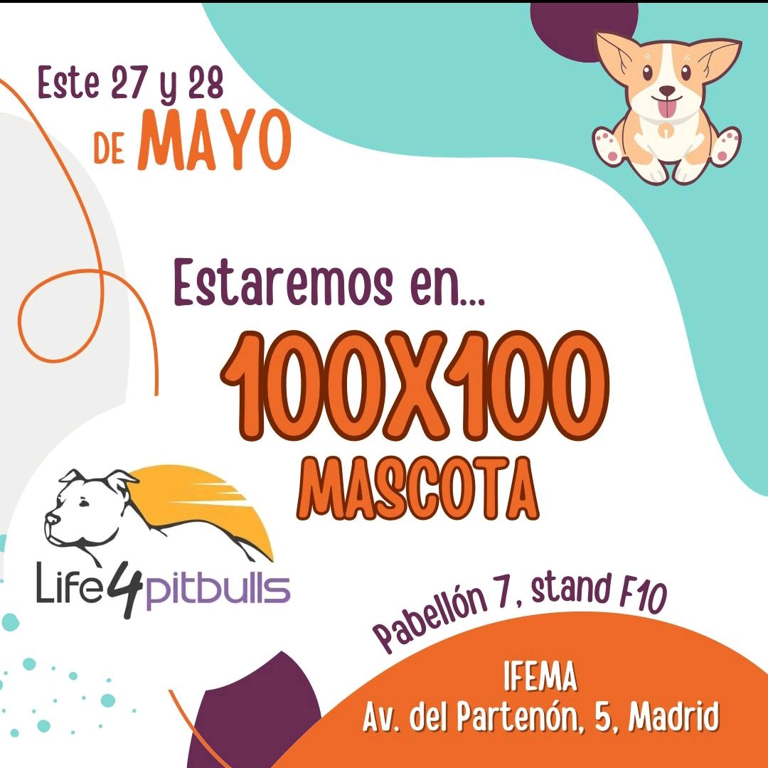 Life4pitbullsMADRID (@life4pitbullsm) on Twitter photo Chic@s, ¡acordaros que este finde estamos a tope!
Nos puedes ver bien en <a href="/IFEMA/">IFEMA MADRID</a> , bien en <a href="/CCPlazaNorte2/">CC Plaza Norte 2</a> , ¡dónde mejor te venga! Para echar una patita cualquier sitio es bueno 😀 Chic@s, ¡acordaros que este finde estamos a tope!
Nos puedes ver bien en <a href="/IFEMA/">IFEMA MADRID</a> , bien en <a href="/CCPlazaNorte2/">CC Plaza Norte 2</a> , ¡dónde mejor te venga! Para echar una patita cualquier sitio es bueno 😀
