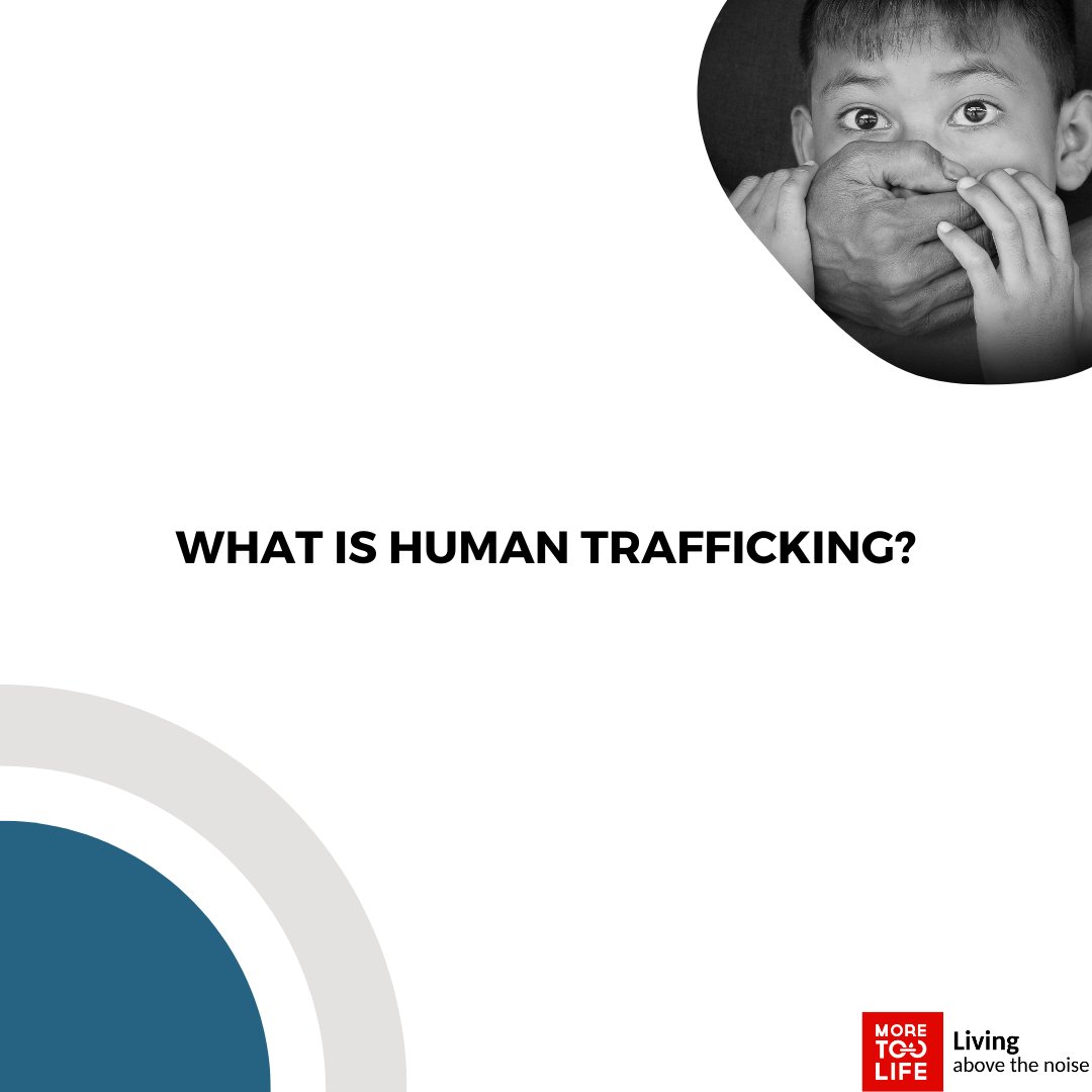 @realmoretoolife tweet media