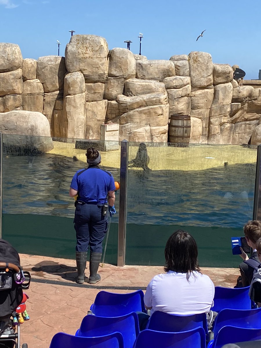 MissEdge tweet media