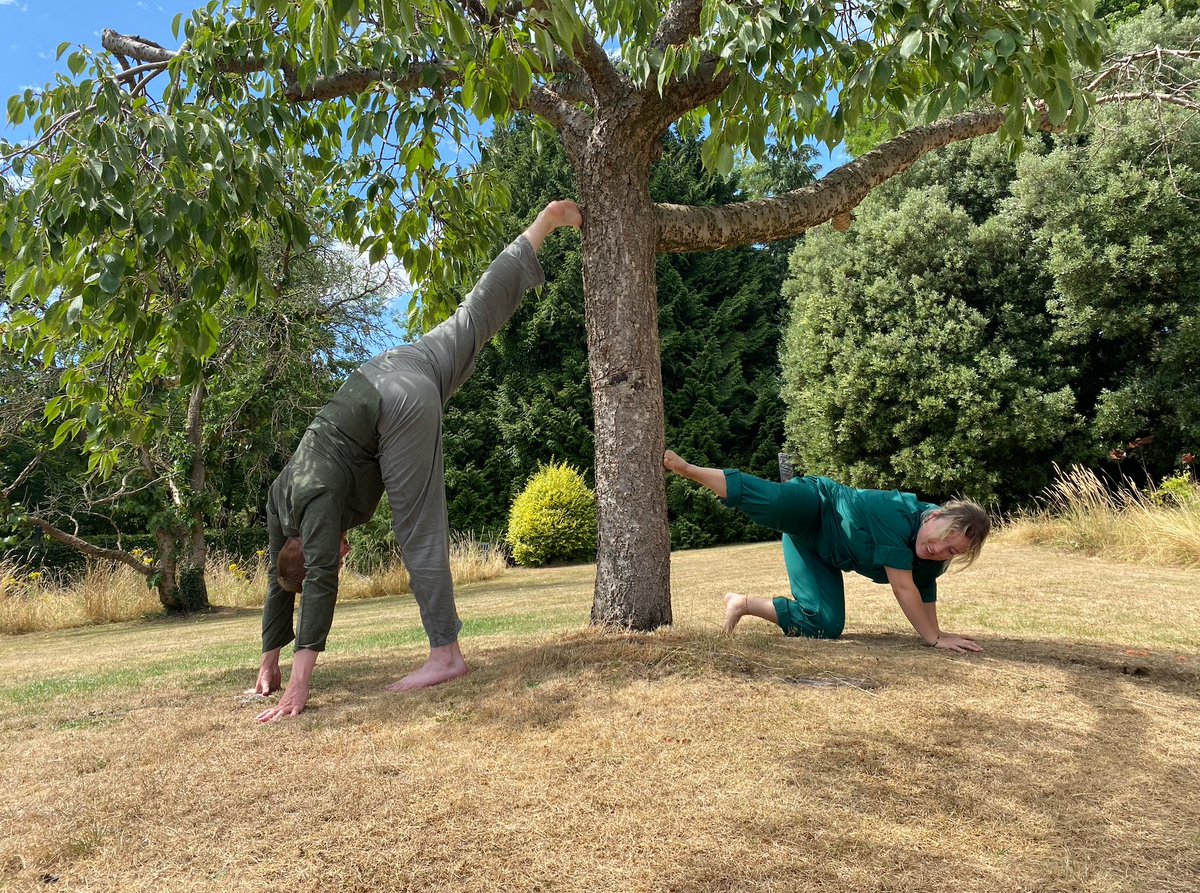 PetunkPetunk's tweet photo. Breathe, it’s nearly Friday. You can do this. 

Tree Yoga helps - trust us.   

🌳🧘

#petunkpetunk #breathe #youcandothis #yoga #treeyoga #plantpsychic https://t.co/YI51CptTUT