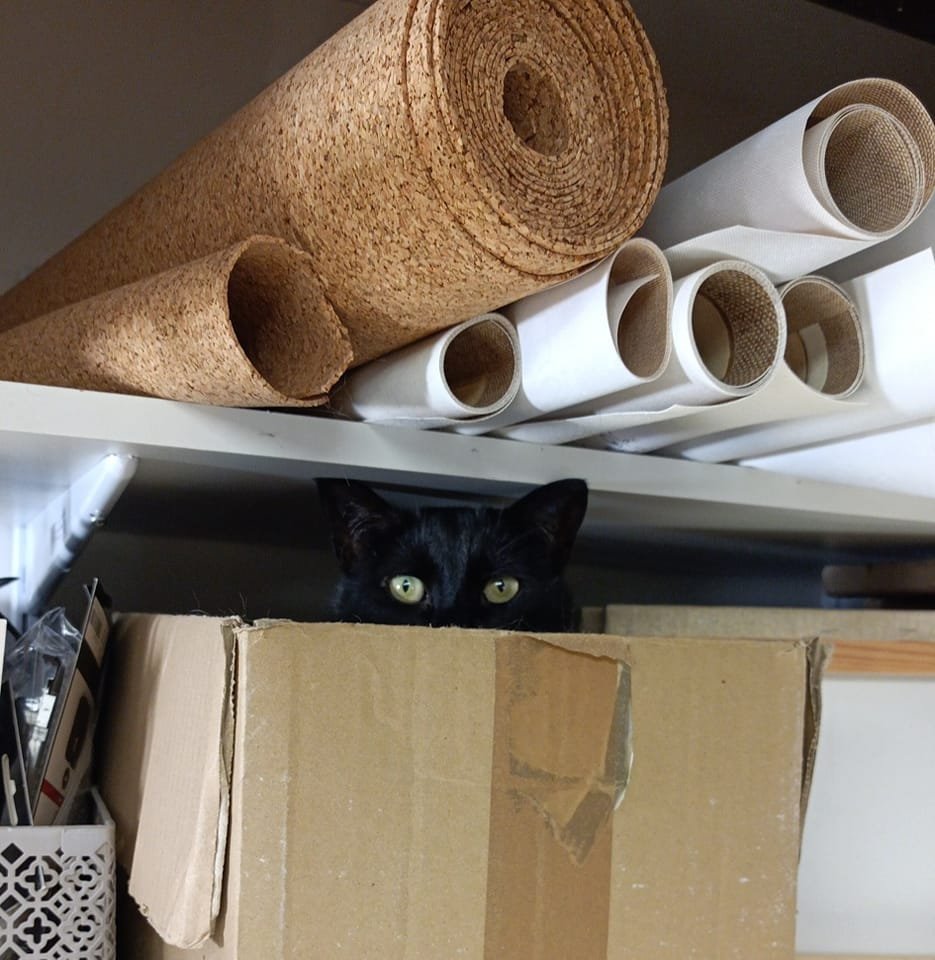 JIBE04's tweet image. Je bosse à l&apos;atelier @OllivierPier et visiblement on me surveille de près. Je garde le silence? #gardeavue