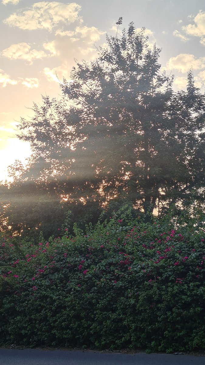 zeeaurav's tweet photo. Poetic ending https://t.co/e7dnd8FeGN