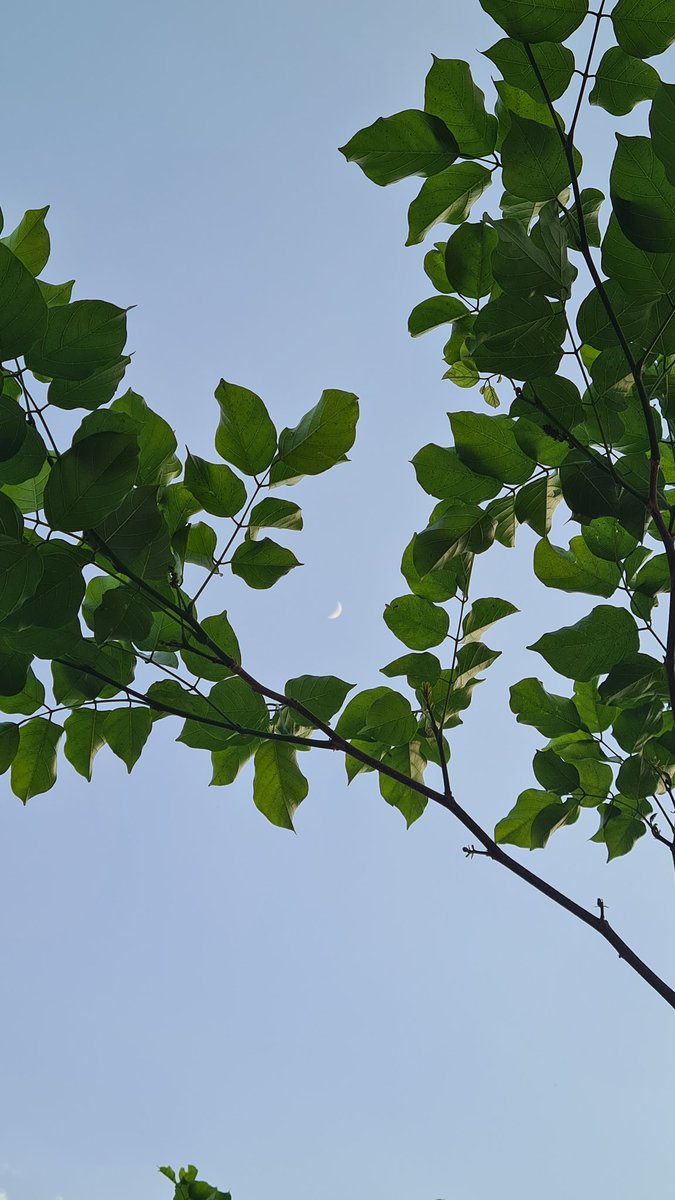 zeeaurav's tweet photo. Poetic ending https://t.co/e7dnd8FeGN