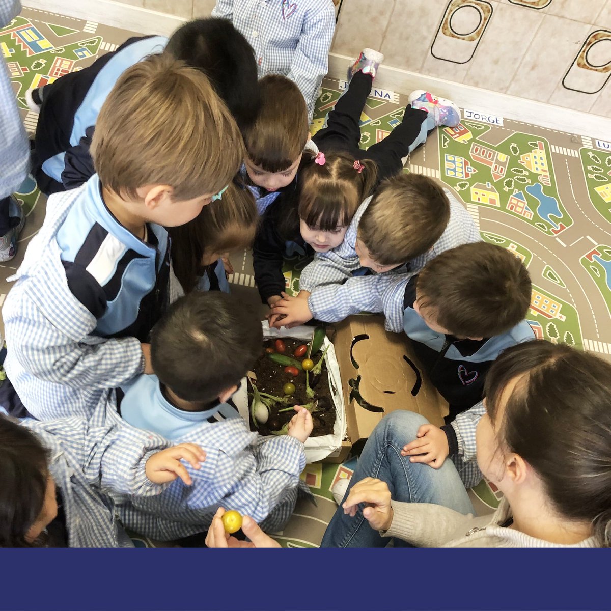amordediossala's tweet photo. ➡️Los padres de 1º de #Infantil han empezado a venir por clase a presentar los proyectos y nos encanta el ratito papis, niños y profes.
Esta semana nos han traído un #minihuerto 🍅para que lo cuidemos en clase y un lombricero 🪱para cuidarlo. 👏 https://t.co/GfdQD1gVXo