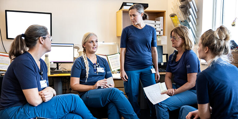 Læs om ledere, der har hjerte, hjerne og vilje til at gå forrest og skabe et til et mere ”frit sat” og tillidsbaseret ledelsesparadigme  i sundhedsvæsenet.

dssnet.dk/vi-startede-me…

#sundpol #ledelse @HorsensHospital <a href="/MarieStorkholm/">Marie Storkholm</a> Kathrine Medum Christiansen  <a href="/Region_Midt/">Region Midtjylland</a>