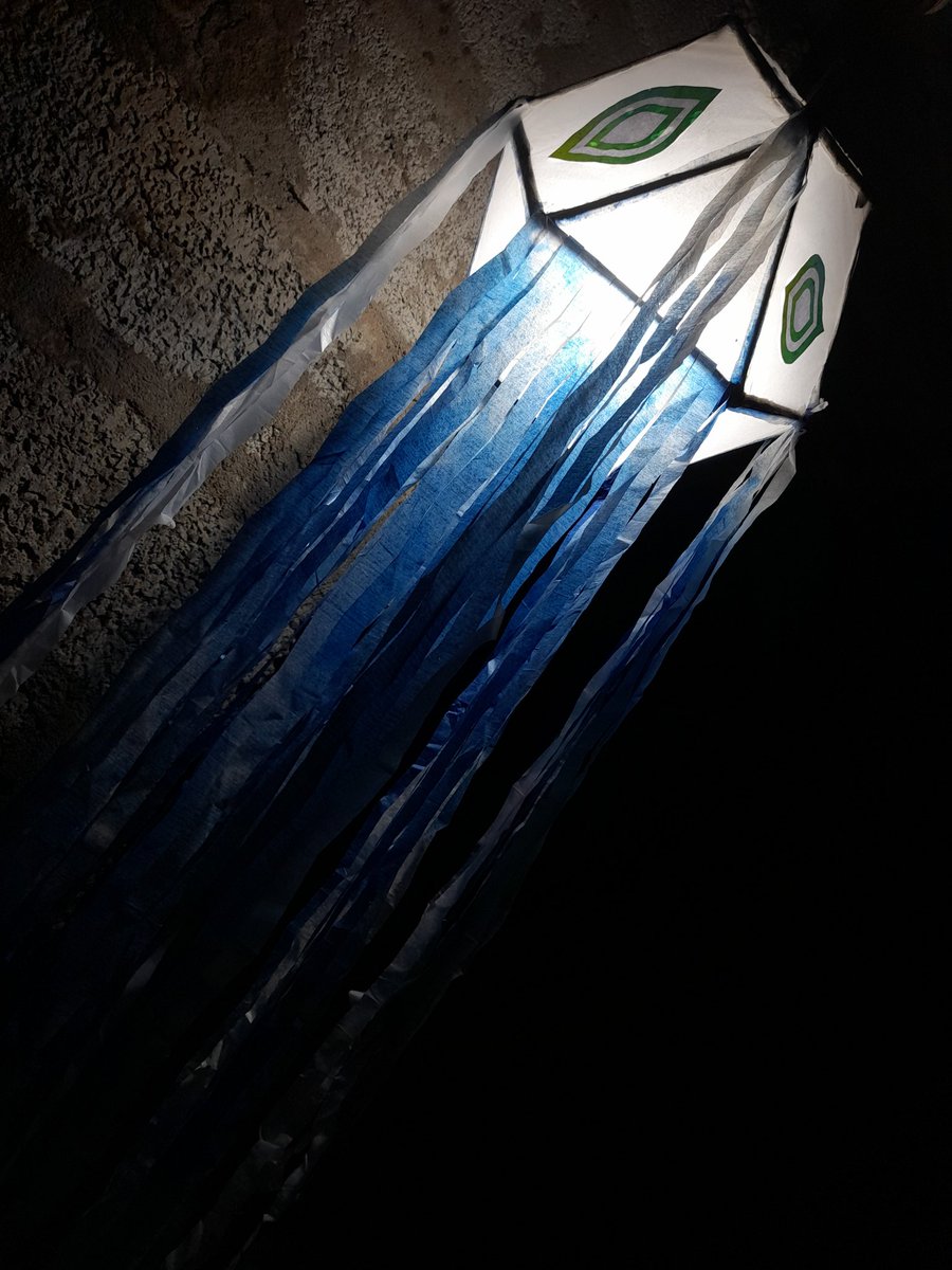 #VesakwithSEED #PlantaSEED   #ProjectSeedToTheMoon