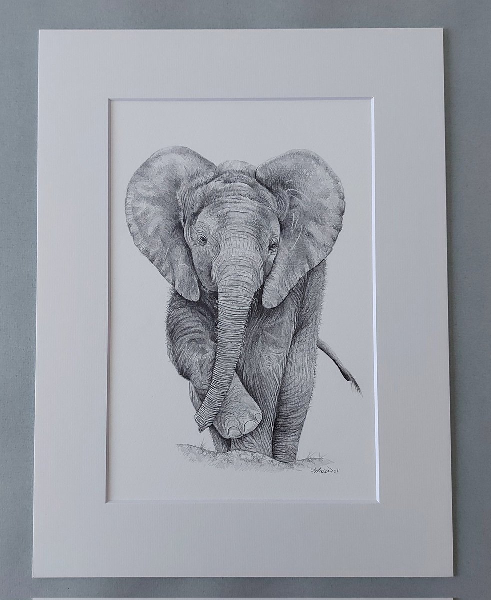 Pleased to say these three originals have now sold and will be heading to their new home next week. 💛
#drawing #art #artist