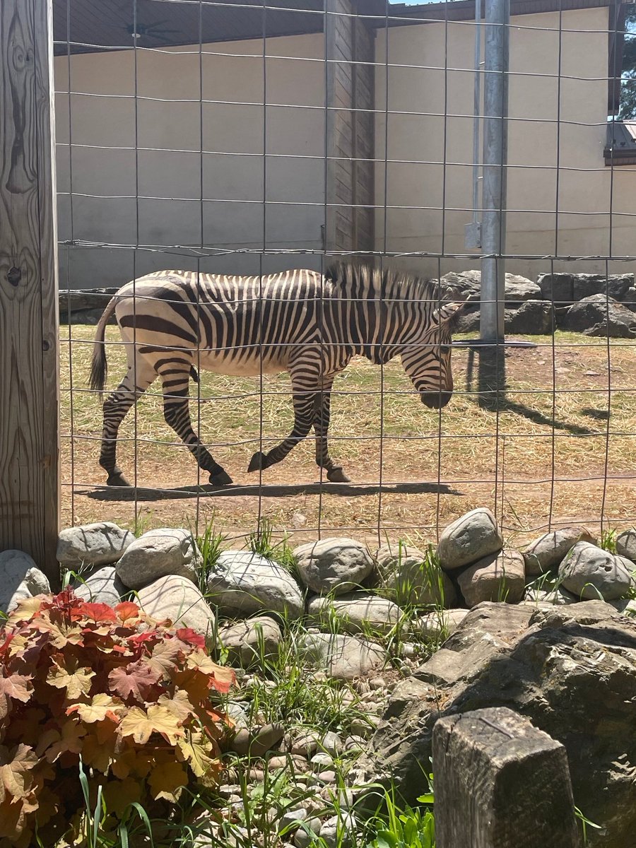 Eagleville First grade field trip to the Elmwood Zoo <a href="/Methacton/">Methacton Schools</a>
