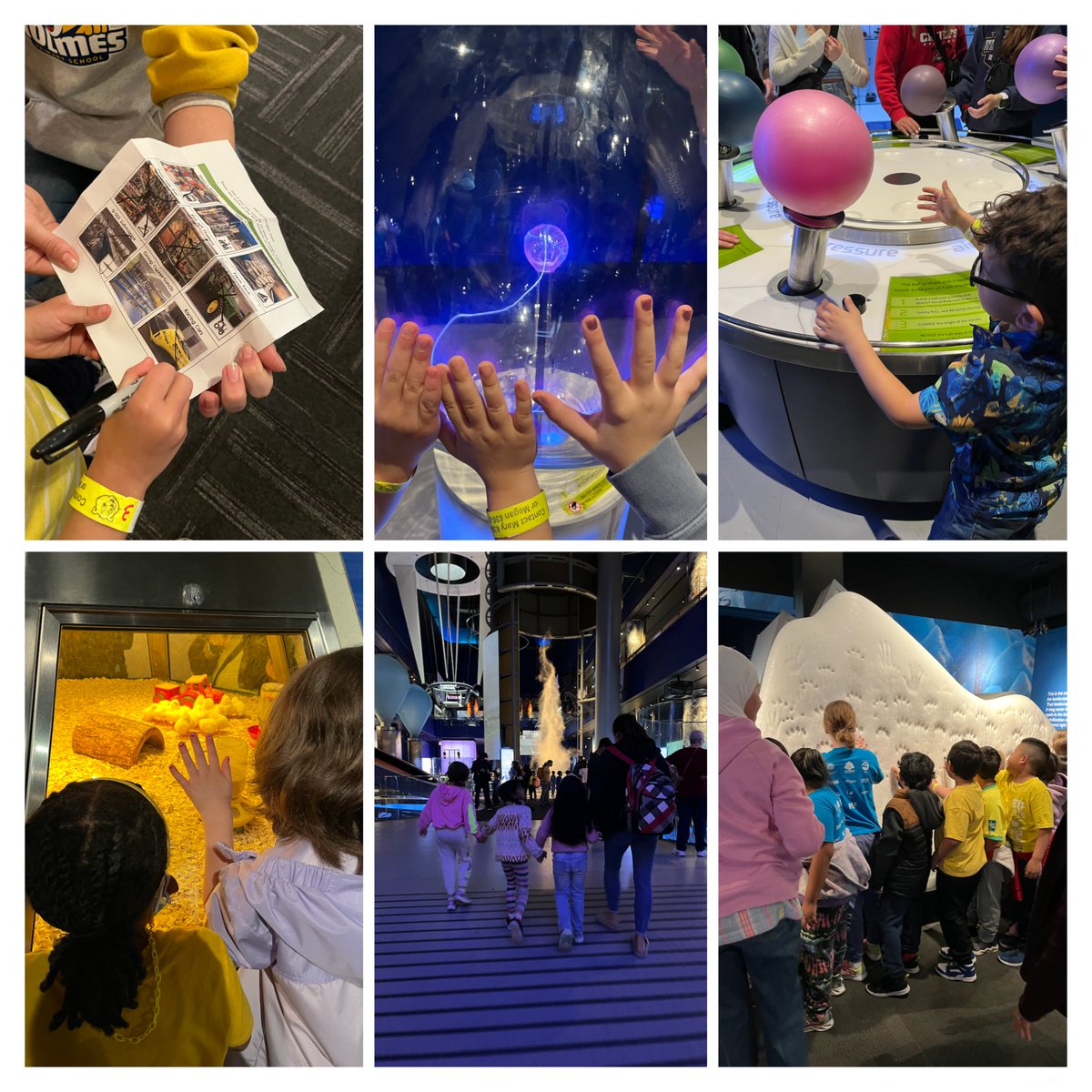 Lissa Blake tweet media