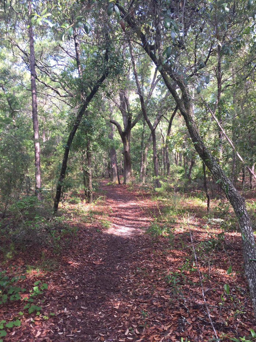 thekeithman's tweet photo. My quick 5k on the trails this morning turned into 12k and taking the rest of the day off. Have a great rest of the week, everybody!
#Trailrunning #RunFlorida https://t.co/U2oW8tdh4y