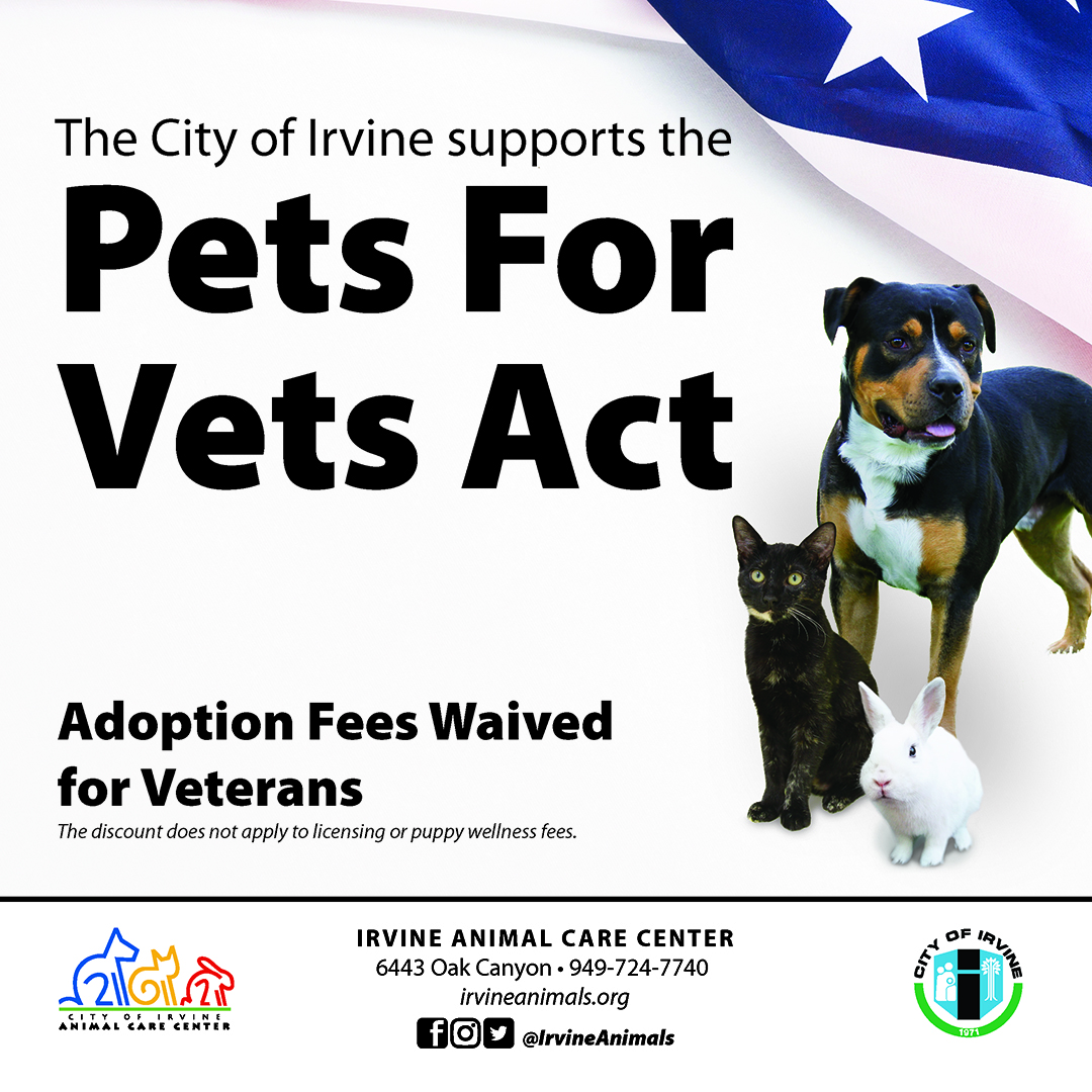Irvine Animal Care Center On Twitter As We Prepare To Honor irvine-animal-care-center-on-twitter-as-we-prepare-to-honor