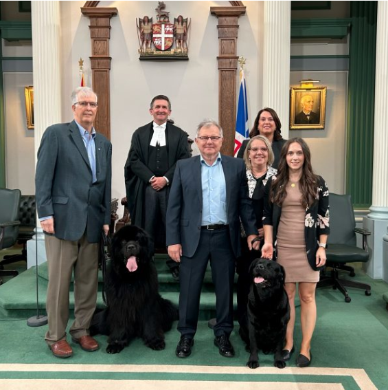 Emma Graney 🇦🇺🤷🏻‍♀️🇨🇦 on Twitter "In perhaps the most wholesome news