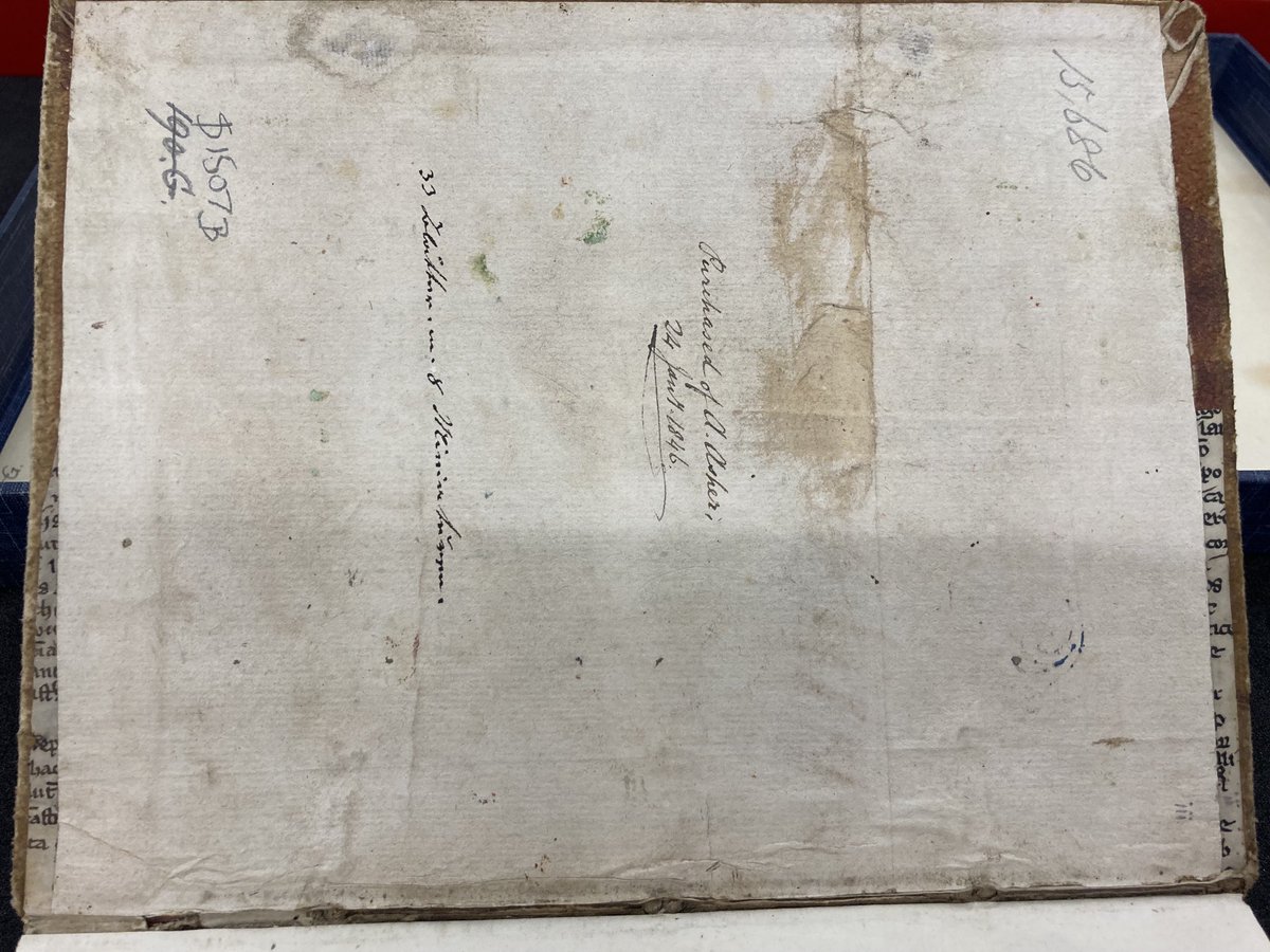 petetoth's tweet image. Early #fragmentfriday challenge. Please share your ideas what these two could be if there’s still hope. #fragmentology. #thursday.