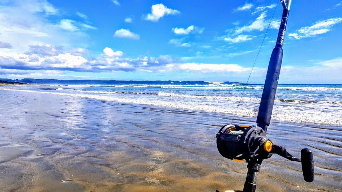 efoster_nz's tweet photo. Fishing Adventure on the Mighty 90 Mile Beach! a triumphant angler, harnessing the power of wind and tide, and reaping the rewards of patience and skill. Dreams come true when nature aligns with our unwavering determination. 🎣💫✨

#cosiue #northlandnz #fishing #environment https://t.co/u5BuHrfPH8