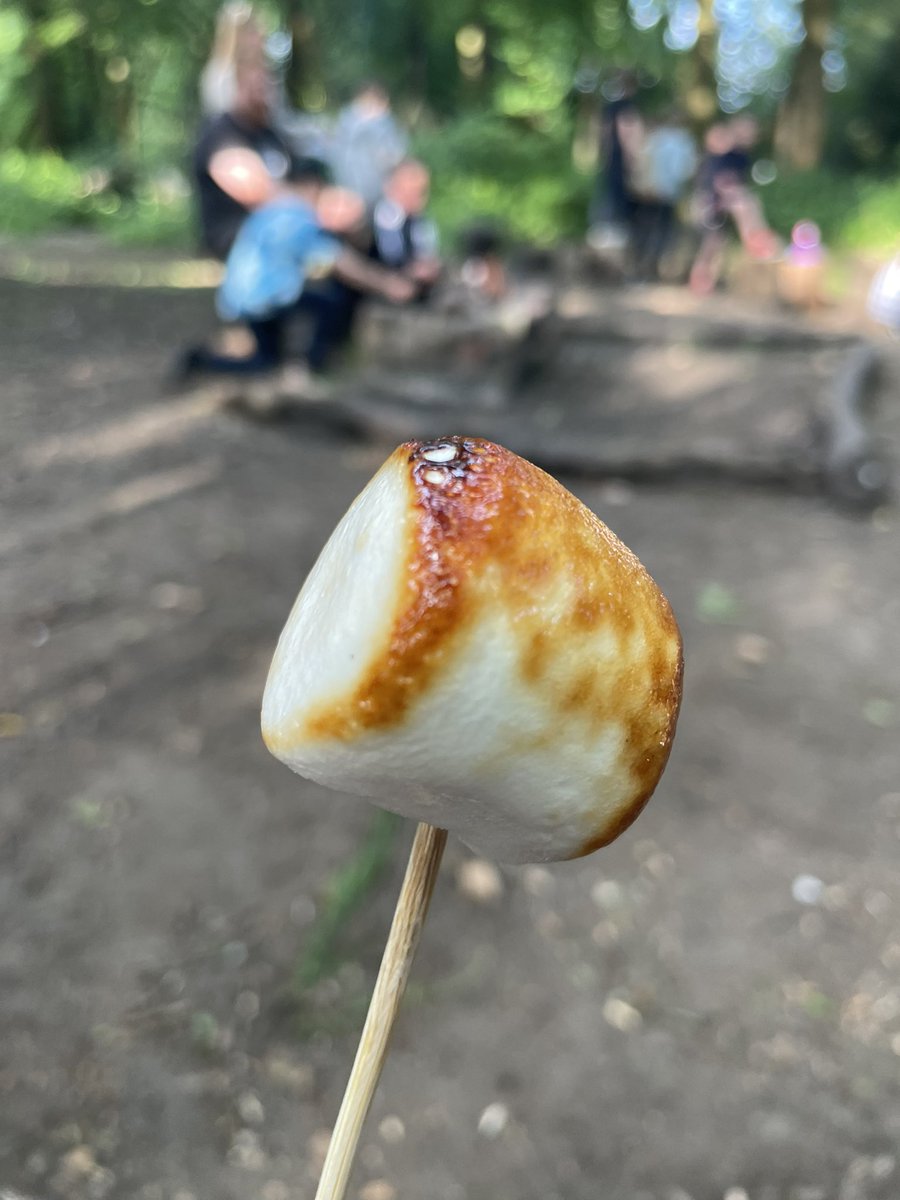 st_thomas321's tweet photo. 😋 #toastedtoperfection https://t.co/aGWIIsnN6A