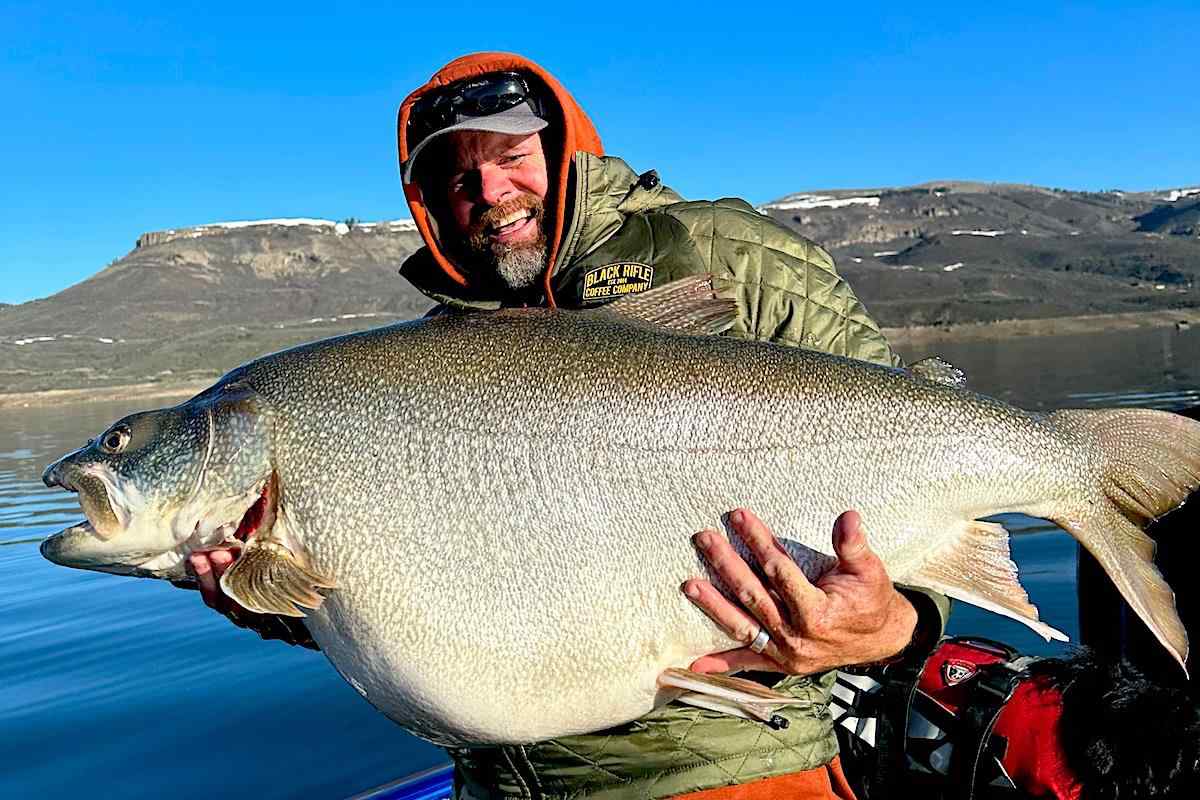 Potential World Record Caught During Father-Son Fishing Trip. The ginormous lake trout caught in Colorado weighed more than 73 pounds! Full story via @GameAndFishMag: ow.ly/EB9x50OnjUl

#FindYourAdventure #fishing #trout #laketrout #Colorado #worldrecord