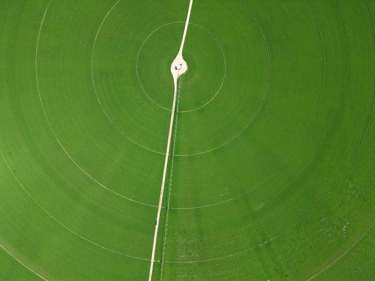 These green circles have started appearing on Pakistani deserts 🧵

👇
