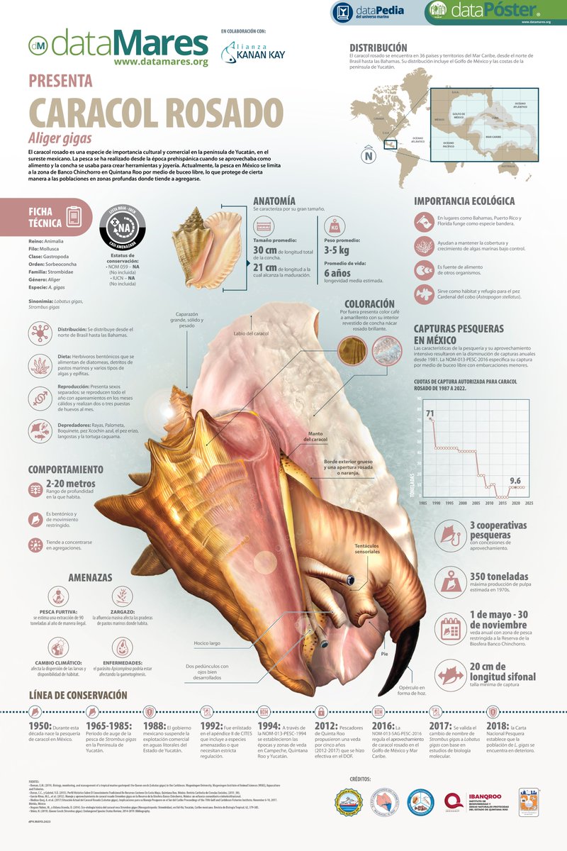 dataMares tweet media