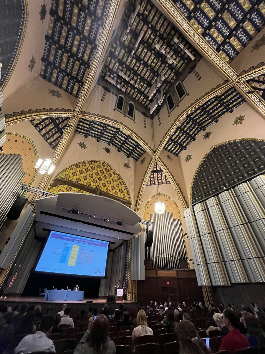 Amazing venue and strong kidney science at #podo23