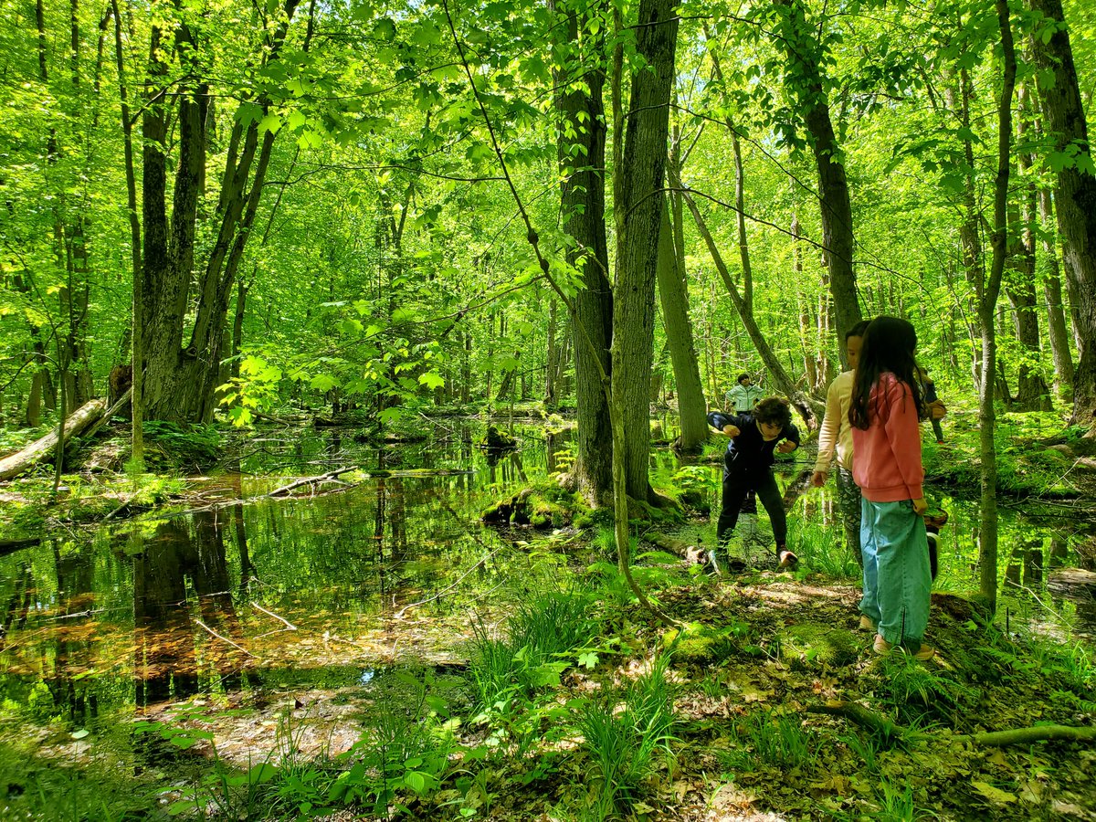 🌳 Our new favourite spot: