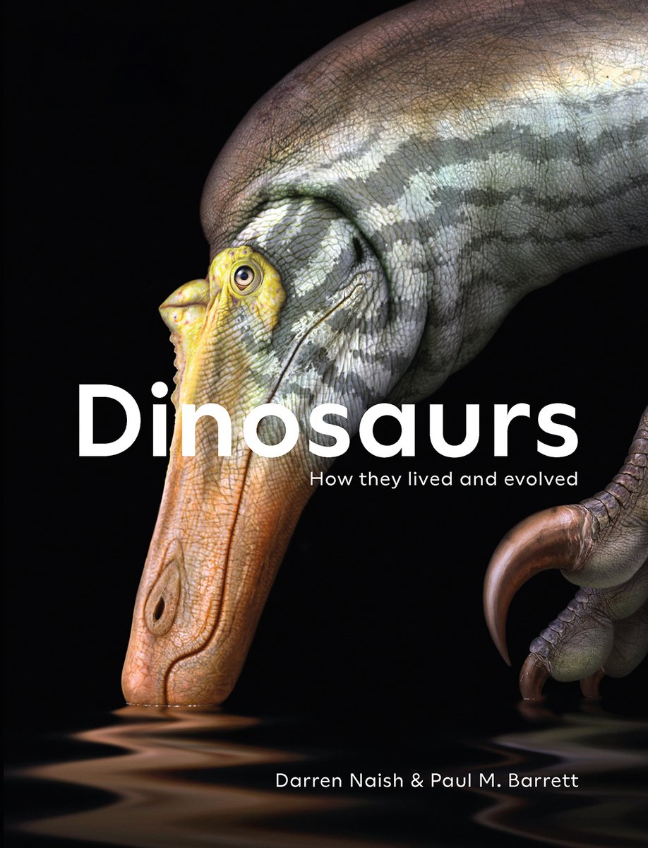 #Dinosaurs: How They Lived & Evolved - by myself and Dr Paul Barrett @NHMdinolab - published by @NHM_London, is going to 4th edition and here is its cover. Produced by the amazing @BobNichollsArt, it features the #IsleofWight #spinosaurid #Ceratosuchops. More news soon :)