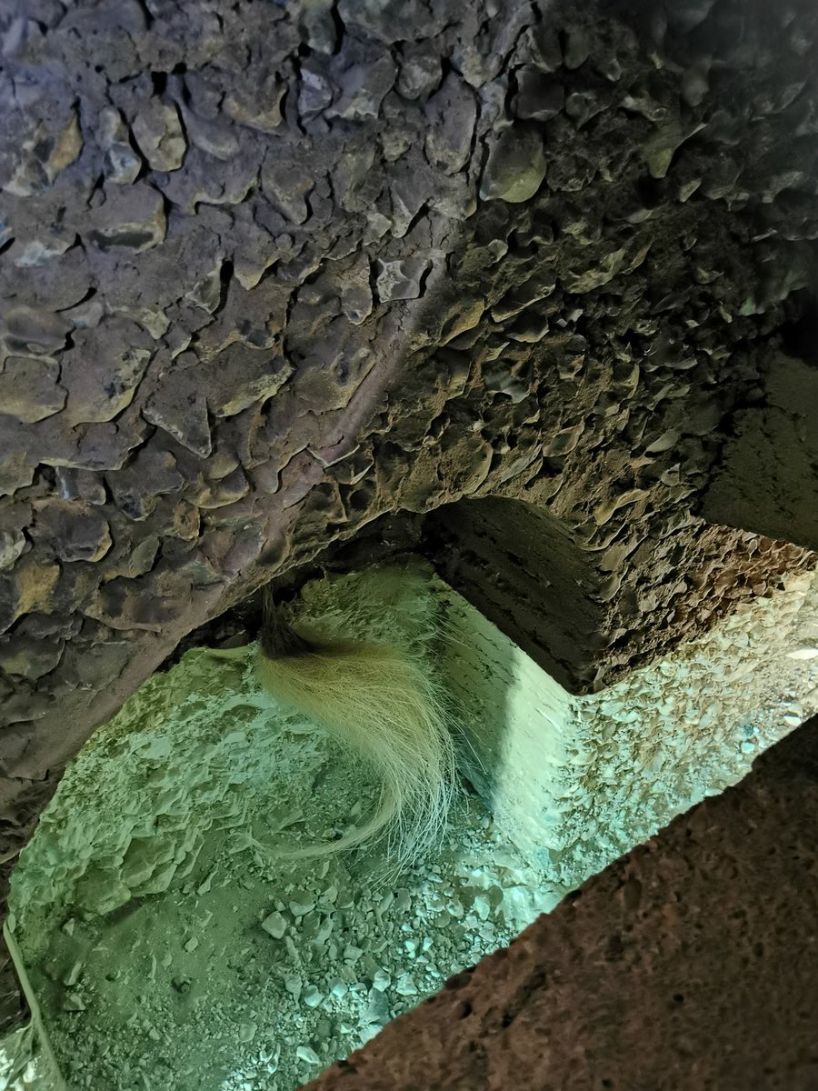 Journée autour de l'EAU, élus et acteurs du territoire réunis pour notre rencontre InTERREalto : des échanges, des questions autour d'un sujet où nous sommes tous concernés : qualité, quantité et répartition sur le territoire 
#sourcedelavanne #chambagri <a href="/eaudeparis/">Eau de Paris 🚰</a>