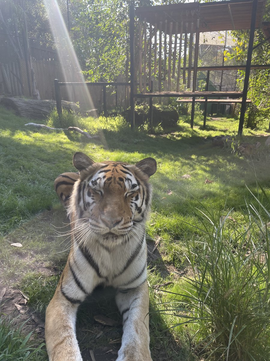 Oakland Zoo tweet media