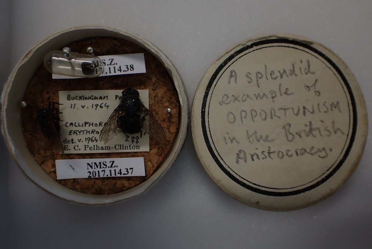 Agnes Kreiling tweet media