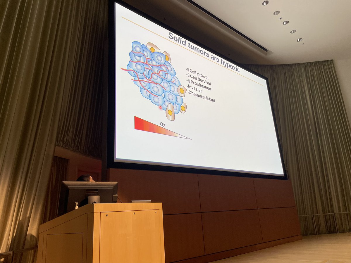 Go Rashi! <a href="/rashi_singhal7/">Rashi Singhal</a>, <a href="/YatrikShahLab/">Shah Lab</a> Speaking on HIF, Fe and cell death