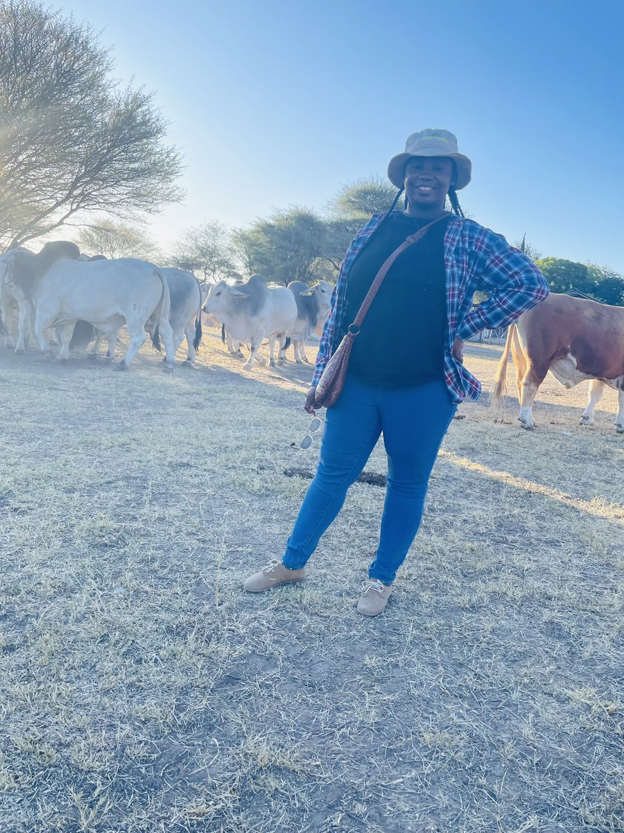 Sweetveld Farming tweet media