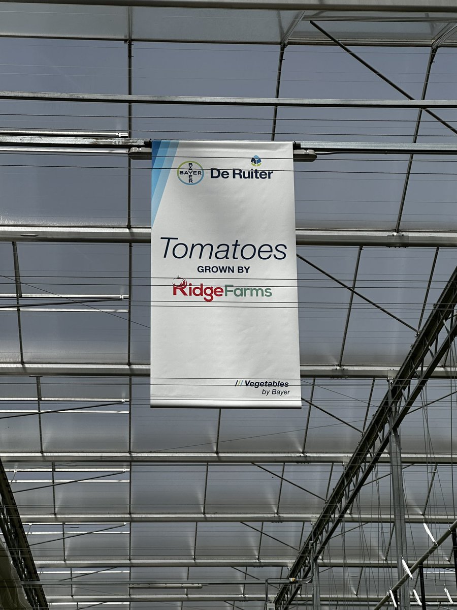 JTs_VeggieTales's tweet photo. Veggie travels continue this time in Canada. 🍅 are what’s for breakfast, lunch or dinner! Our farmers do so much to deliver beautiful tomatoes +/- 9 months of the year. Simply amazing the love and care put into these crops. #technology #thankyoufarmers #veggielife https://t.co/Ws05ZcPpta