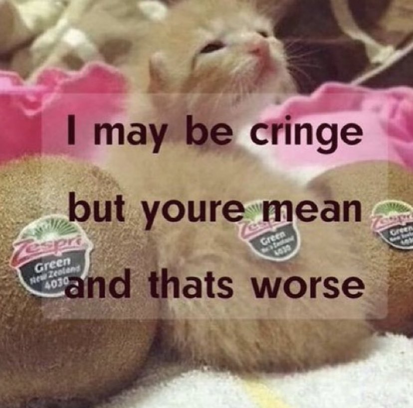 ✧ (@northstardoll) on Twitter photo 