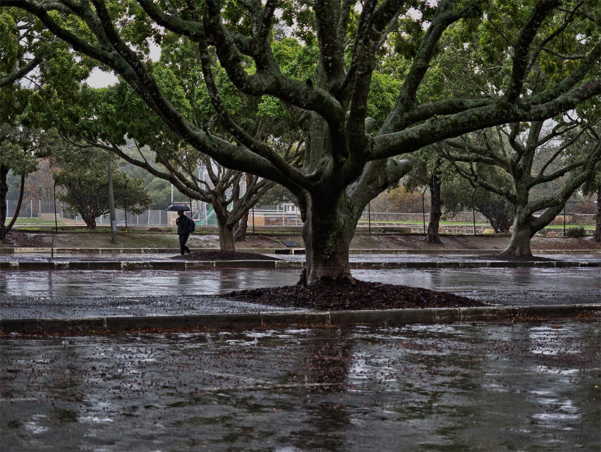 Rainy day #photography #Rainworld