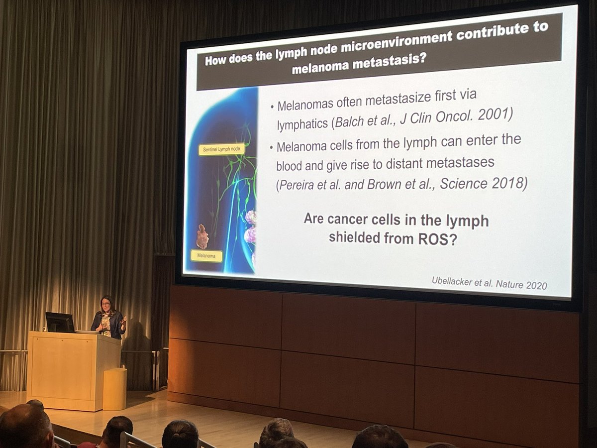 Lyssiotis Lab (@lyssiotislab) on Twitter photo Learning about lymphatic metabolism and cancer metastasis from @j_ubellacker, <a href="/MET_HSPH/">Harvard Molecular Metabolism</a> Learning about lymphatic metabolism and cancer metastasis from @j_ubellacker, <a href="/MET_HSPH/">Harvard Molecular Metabolism</a>