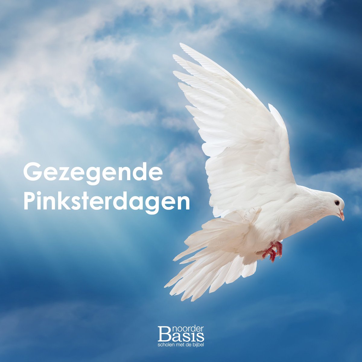 basissChristal's tweet photo. We wensen jullie een prachtig pinksterweekend!🔥🕊 https://t.co/R67oQrSMQ0