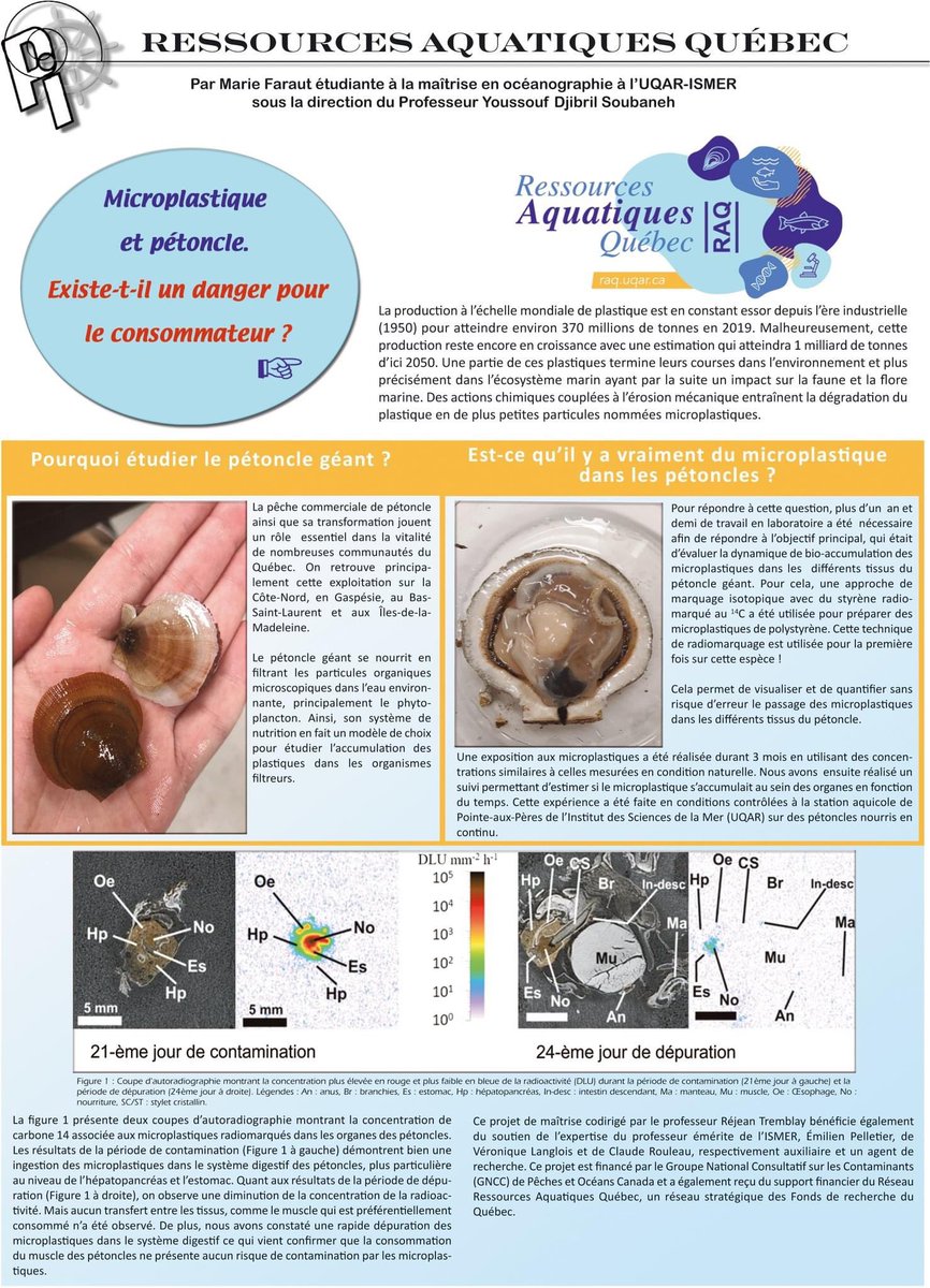 Voici un article vulgarisé de ma recherche pour mon projet de maîtrise sur le microplastique 🐚

Merci <a href="/raq_actu/">RAQ - Actualité</a> et Pêche Impact pour votre confiance.

@UQAR 

#article #vulgarisation #microplastic