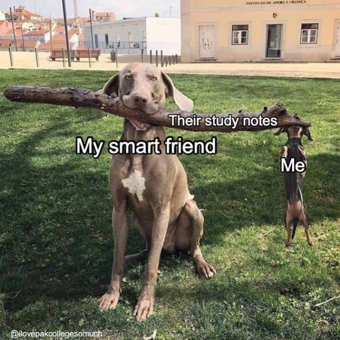 PepeXL Memes (@pepexlmemes) on Twitter photo 