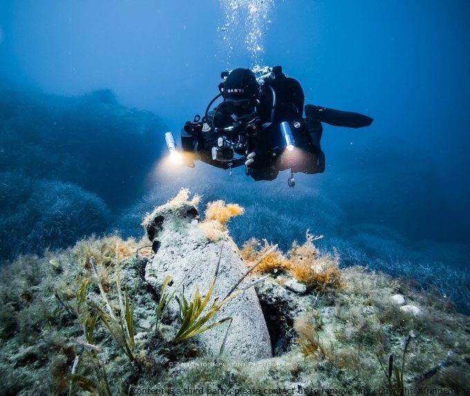 Finish the sentence: Scuba diving is my passion because... Follow @antonioimplatini_uwphoto for amazing underwater photography! #ScubaDivingMag #PADI #divelife #oceanlife #underwaterworld #uwphotography #seatheworld #Scubadiving