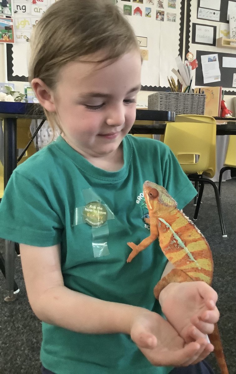 Brookhurst Primary School, Wirral tweet media