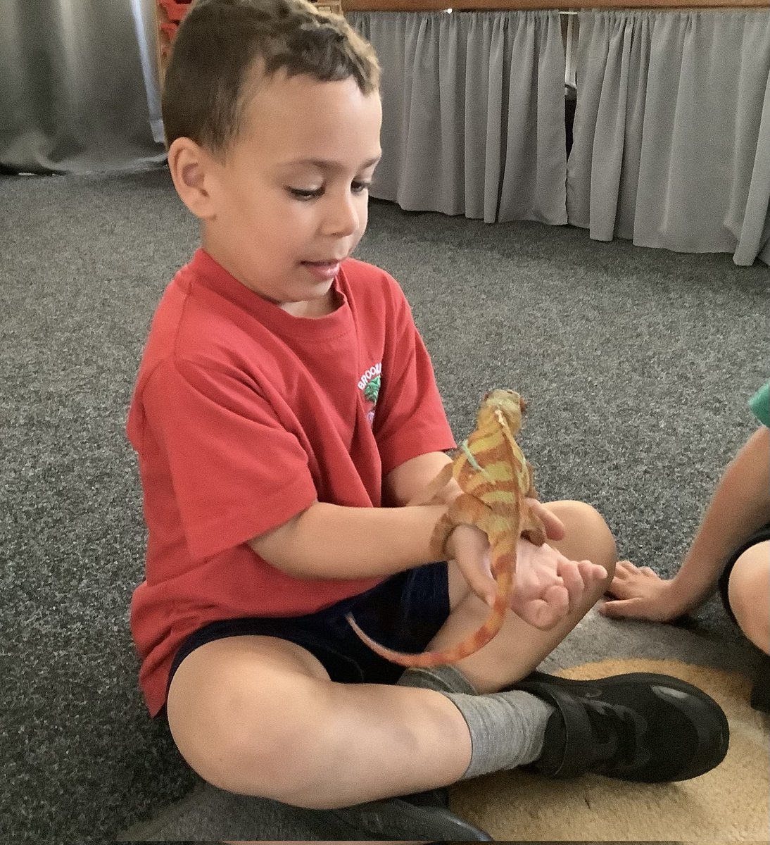 Brookhurst Primary School, Wirral tweet media